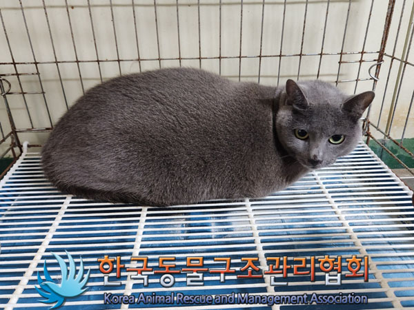 한국동물구조관리협회_411322202300557